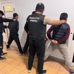 Кара-Сууда бир нече мал уурдоо фактысына шектүүлөр кармалды