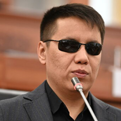 Бекешев Кыргызстанда төрөттү кантип көбөйтсө болорун айтты