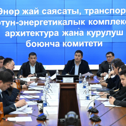 Комитет Жогорку Кенеша одобрил проект Кодекса Кыргызской Республики о торговом мореплавании в первом чтении