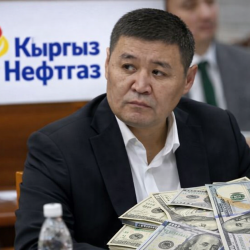 Зыян 4,1 млрд сомдон ашат: 