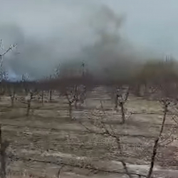 Коргоо министрлиги Ысык-Көлдөгү окуя боюнча түшүндүрмө берди