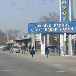 В Сокулукском районе выявлены факты незаконного предоставления земельных участков