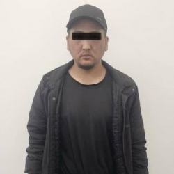 Бийликти күч менен басып алууга шектелген жаран кармалды