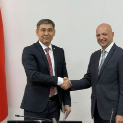 Минздрав Кыргызстана и ВОЗ обсудили приоритеты дальнейшего сотрудничества