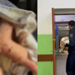 Бишкекте 6 жашар баланы иттер талап кеткен