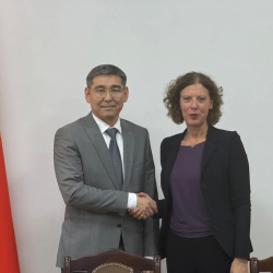 Саламаттык сактоо министрлиги менен БУУнун системасы кызматташуунун артыкчылыктарын талкуулашты