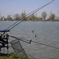 Балык уулоодо айрым эрежелер өзгөртүлдү