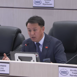 Отсутствие общественного транспорта в жилмассиве «Нуркожо»: высказывания депутата ЖК КР не соответствуют действительности