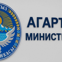 Министрлик ата-эне мугалимге кол көтөргөн окуя боюнча комментарий берди