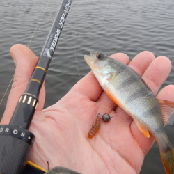 Новые изменения в правилах рыболовства у да к вступили в силу