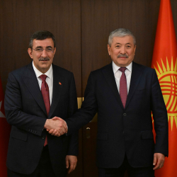 МинКаб башчысы Адылбек Касымалиев Түркиянын Вице-президенти Жевдет Йылмаз менен жолугушту