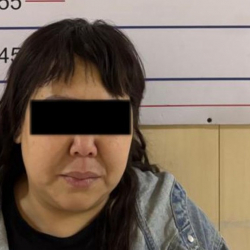 Бишкекте жаран 185 миң сомго алданып калган. Шектүү аял кармалды