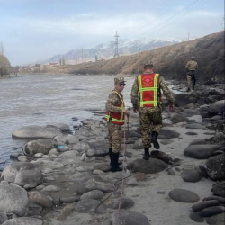 Нарын дарыясына түшүп кеткен бала изделүүдө