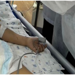 Өз алдынча тамактанып калды. Иттерге таланган баланын абалы айтылды