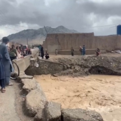 Ооганстан менен Пакистанда суу ташкындарынан 121 адам каза болду