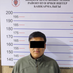 Автоунаа алдамчылыгына шектүү жаран кармалды