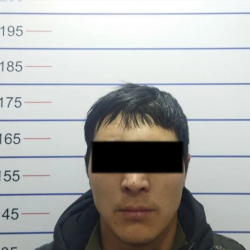 Бишкекте капчык уурдоого шектелген жаран кармалды