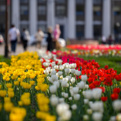 СҮРӨТ - Бишкек көз жоосун алган жоогазындарга бөлөндү