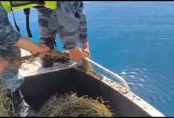 Видео - Ысык-Көл акваториясы тазаланып, эски торлор жок кылынды