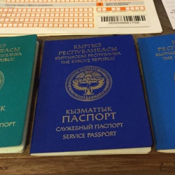 Кыргызстан и Египет договорились о безвизе. Но не для всех