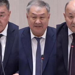 Эсептөө палатасынын жаңы аудиторлору шайланды