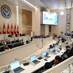 Депутаттар өкмөттөн Чернобыль апааты курмандыктарына бир жолку төлөмдү берүүнү суранды