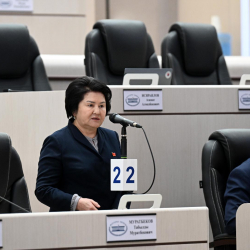 Жогорку Кеңеш мектепке чейинки билим берүү системасын колдоого багытталган мыйзам долбоорун жактырды