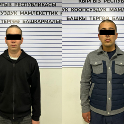 Жасалма акча чыгарган трансулуттук топ кармалды