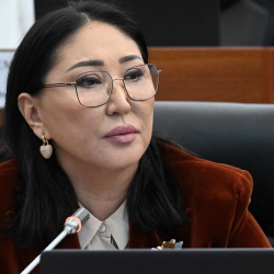 “Суутулган атмын, минесиңер дагы чабасыңар” деген Султанбекова кызмат эңсеп өзүн мактатууда