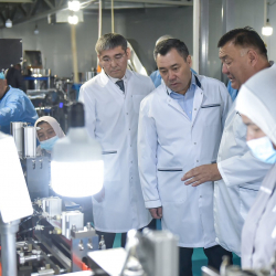 Президент «Медимпекс» медициналык багыттагы буюмдарды чыгаруучу компаниянын ишмердүүлүгү менен таанышты