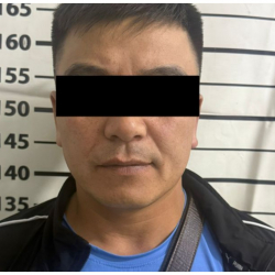 В Сокулуке фермер лишился скота почти на 4 миллиона сомов. Задержан подозреваемый