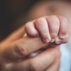 Түрк мамлекеттеринде төрөт көрсөткүчү кескин төмөндөдү