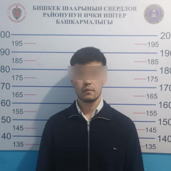 АКШдан унаа жеткирип берем деп, жаранды 33 миң долларга алдап кеткен шектүү кармалды