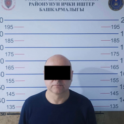 Автоунааларды сатууга байланышкан алдамчылыкка шектелип издөөдө жүргөн жаран кармалды