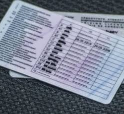 Жапаров: Айдоочулук күбөлүктү дүйнө жүзү тааныды