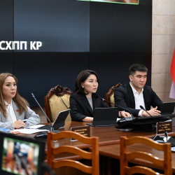 Комитет тышкы саясат чөйрөсүндөгү мыйзам долбоорун экинчи окууда колдоду