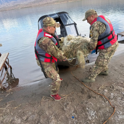 Көлдүн түбүнөн 500 метрге жакын балык уулоочу торлор чыгарылды