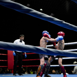 Бишкекте кикбоксинг боюнча Кыргызстандын чемпионаты жана биринчилиги башталды