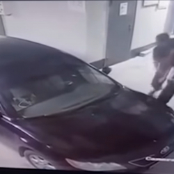 Жаранды кармоо учурунда күч колдонулган видео боюнча ИИМ текшерүү баштады