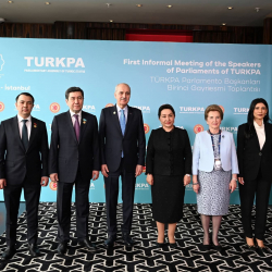 ЖК төрагасы ТүркПАнын Стамбулда өткөн бейформал жолугушуусуна катышты