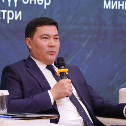 Кыргызстандын тоо-кен тармагы: 2035-жылга карата экологиялык тазалык, жогорку технологияларга жана туруктуу өнүгүүгө багыт