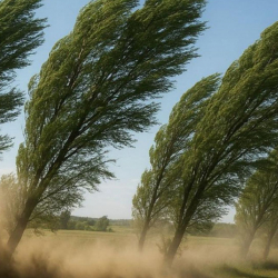 Шашылыш билдирүү: Бишкек жана Чүйдө жакынкы бир саат аралыгында катуу шамал болот