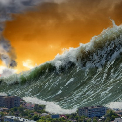 Математик Сидик Афган: Адамзат коркунучта