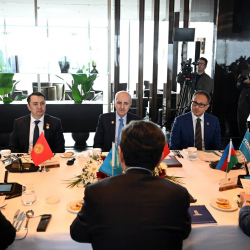 Маматалиев принял участие в неформальной встрече ТюркПА в Стамбуле