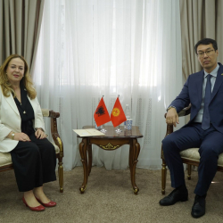 Заместитель министра Медер Абакиров принял копии Верительных грамот Посла Албании Блерты Кадзадеж