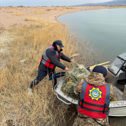 Ысык-Көлдөн 1200 метр мыйзамсыз тор алынды