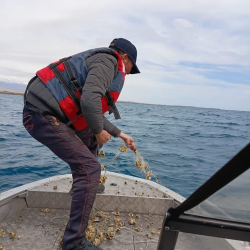 Ысык-Көлдө 1100 метр мыйзамсыз синтетикалык тор чыгарылды