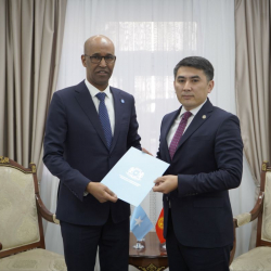 Заместитель министра Кайрат Турсункулов принял копии верительных грамот от Посла Сомали Фатхудина Али Мухаммеда