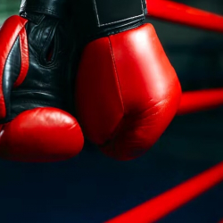 Бишкекте бокс боюнча эл аралык турнир өтөт