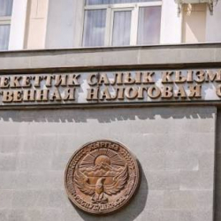 Жыл башынан бери тартип бузган 53 салыкчы жоопкерчиликке тартылды